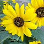 Profile Picture of David Arnett (@arnett842) on Instagram