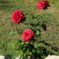 Jan Eustance - Quora Profile Picture of Jan Eustance (@jan-eustance) on Quora