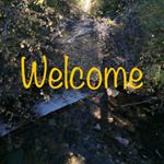 Julie Perron - Instagram Profile Picture of Julie Perron (@juliesoilsforyou) on Instagram