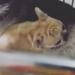 Profile Picture of Tomes paul (@tomes_paul) on Instagram
