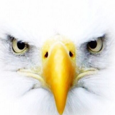 Profile Picture of Mark Graber (@LBH4U721) on Twitter