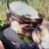 Profile Picture of Jason Boyko (@@coltongaming2012) on Tiktok