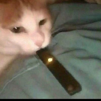 J_A_M_E_S - Twitter Profile Picture of J_A_M_E_S (@JamesCranmer16) on Twitter