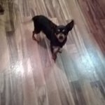 Profile Picture of Isauro lopez (@lopez_57) on Instagram