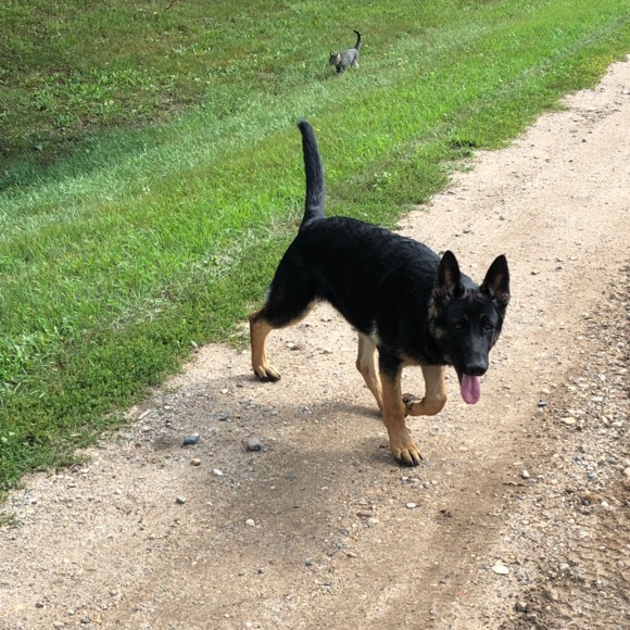 Profile Picture of Sara Haugen (@sarahaugen) on Poshmark