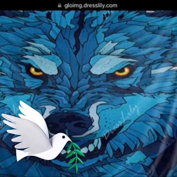 Profile Picture of Tony Barroso (@tony1415) on Poshmark