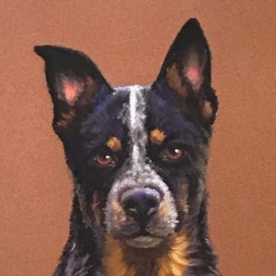 Profile Picture of John F. Sudduth (@johnsudduthdvm) on Twitter