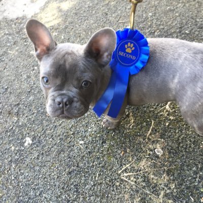 Profile Picture of Gary Ayers (@garyayers_10) on Twitter