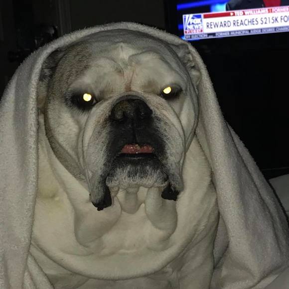 Profile Picture of Steve Kawejsza (@stekaw) on Poshmark