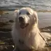 Profile Picture of Robin Lock (@robin.lock8) on Tiktok