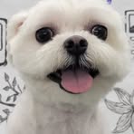 Profile Picture of Jeffery Sin (@jeffery.sin.96) on Facebook