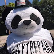 Profile Picture of Paul Mendonca (@PaulyThePanda) on Youtube