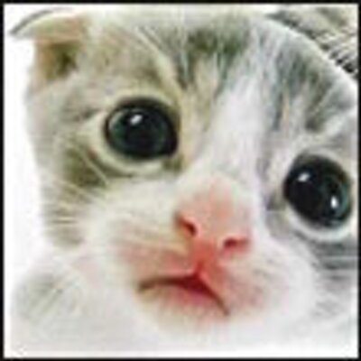 Jeffrey Sandberg - Twitter Profile Picture of Jeffrey Sandberg (@placbolatia70) on Twitter