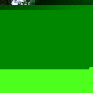 Profile Picture of Wesley Mullins (@blindingphoenix) on Myspace