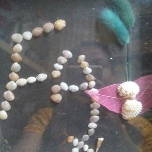 Profile Picture of Asifa Syed (@Asifasye) on Twitter