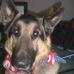 Profile Picture of Buddy Pottle (@buddy.pottle) on Facebook
