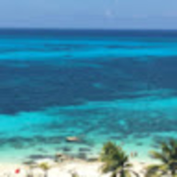 Profile Picture of Wil Luckowski (@wluckowski) on Poshmark