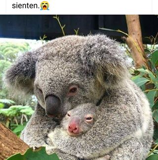 Profile Picture of Valentín Fuentes (@valentin.fuentes.7773631) on Facebook