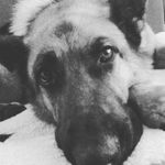 Profile Picture of mi dueño es @tonyreboreda (@june_p.aleman) on Instagram