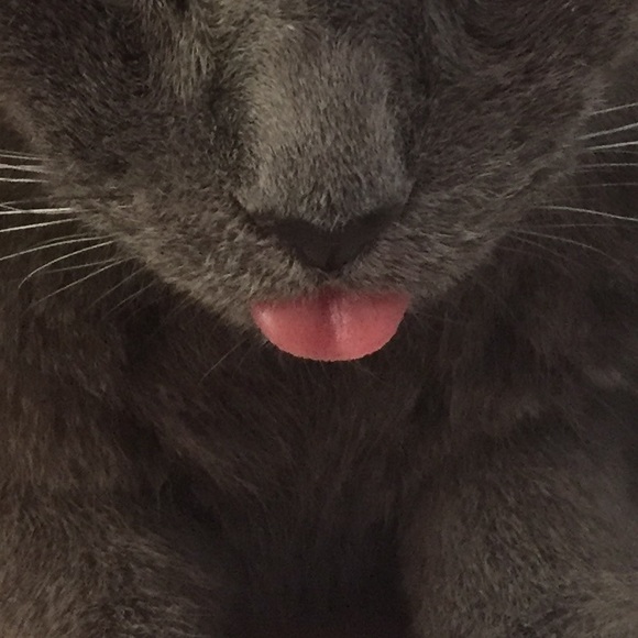 Profile Picture of Edward Kennedy (@erileykennedy) on Poshmark