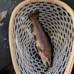 Profile Picture of Raymond Richardson (@mgr_outdoors) on Instagram