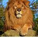 Profile Picture of Willem Robert (@willem.robert.92) on Facebook