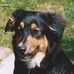 Profile Picture of Nancy MacIsaac (@Nancy-MacIsaac) on Facebook