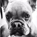 Profile Picture of Corey (@corey_junior_cj) on Instagram