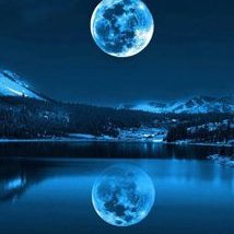 Profile Picture of Muhammed Halil ORUÇ (@haliloruc47) on Twitter