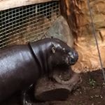 Profile Picture of Jillian Shannon (@agshan66) on Instagram