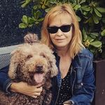 Profile Picture of Quillo (@quillo_thewaterdog) on Instagram