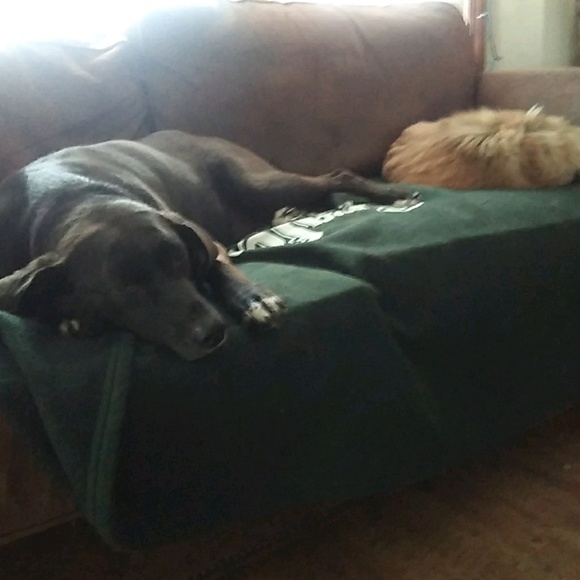 Profile Picture of Lorraine Fiorello (@jtl5895) on Poshmark