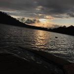 Profile Picture of wolfloverlight (@juliet.tinkler) on Instagram