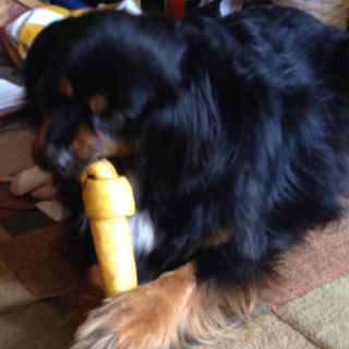 Profile Picture of Barney Settles (@Barney-Settles) on Facebook