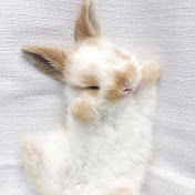 Profile Picture of Jasmine Clayton (@jasmineclayton3923) on Youtube