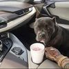 Profile Picture of Joe Batista (@@gumgum51) on Tiktok
