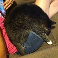 Mikki Miles - Pinterest Profile Picture of Mikki Miles (@aries_1979) on Pinterest