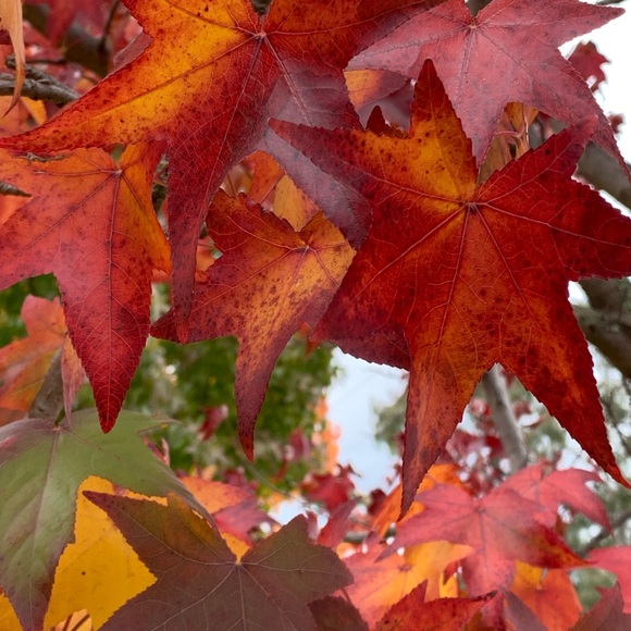 Catherine Tancred - Poshmark Profile Picture of Catherine Tancred (@cathtan) on Poshmark