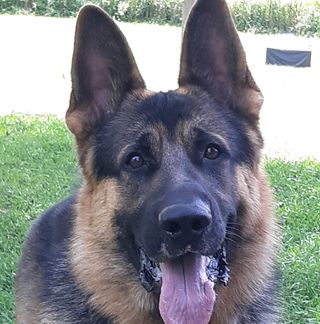 Profile Picture of Joe Bilotta (@speedway.welding.5) on Facebook