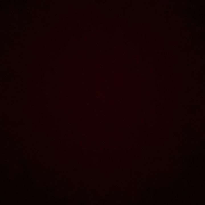 Profile Picture of Lolacasey20 (@lolacasey20) on Tiktok