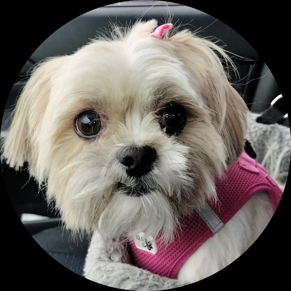 Profile Picture of Elizabeth Slabaugh (@elizabethannes) on Poshmark