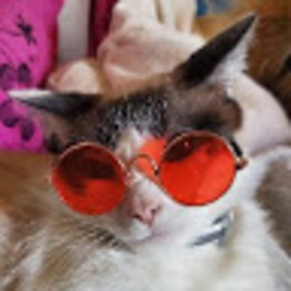 Profile Picture of Carlos Guadalupe (@carlosguadal728) on Poshmark