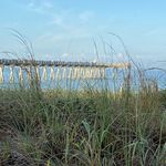 Profile Picture of Gregg Lambrechts (@gregglambrechts) on Instagram