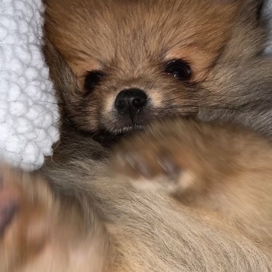 Charlotte🫠🫠🫠🫠 - Tiktok Profile Picture of Charlotte🫠🫠🫠🫠 (@charlotteedmondso) on Tiktok