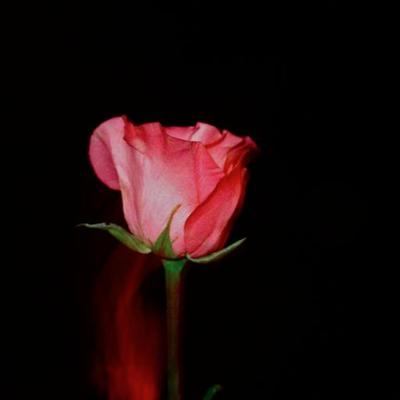 Dream Boys - Twitter Profile Picture of Dream Boys (@dreamboysla) on Twitter