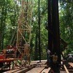 Profile Picture of Michael Nuckolls (@nuckolls903) on Instagram