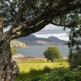 Michael Heinig - Twitter Profile Picture of Michael Heinig (@heinig_michael) on Twitter