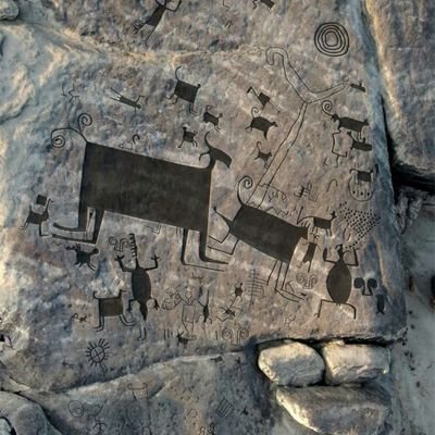 Profile Picture of Sara Julia Naranjo (@SaraJuliaNaran2) on Twitter