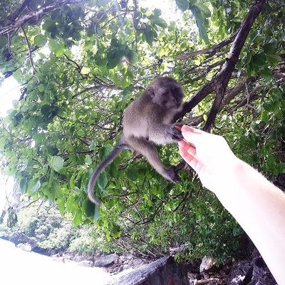 Profile Picture of Niall Madden (@NiallMadden93) on Twitter