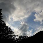 Profile Picture of Nathan Downing (@wanderingeyejapan) on Instagram